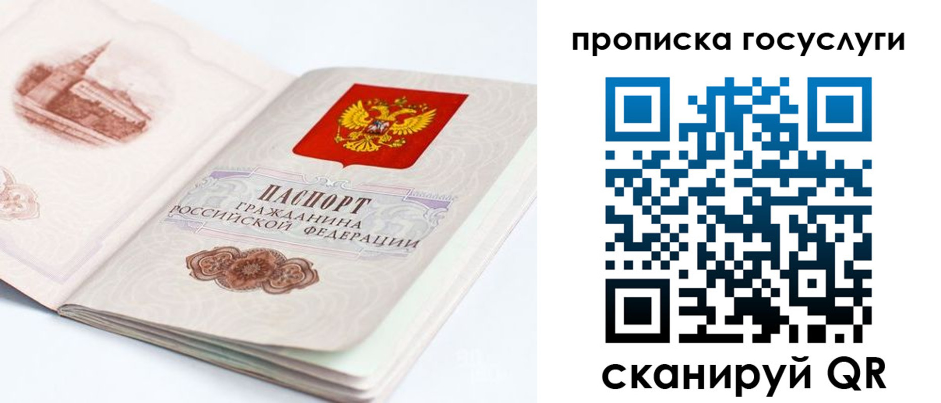 временная регистрация в Петушках